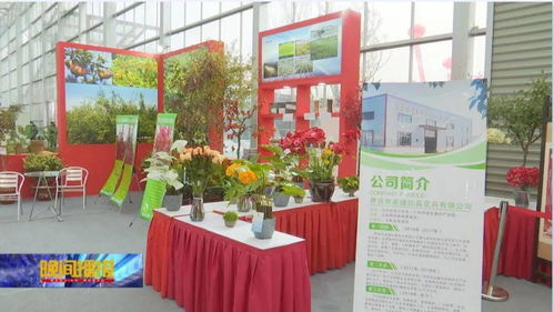 最美的花,開在脫貧攻堅增收的路上