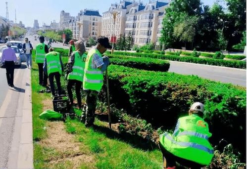 園林綠化服務(wù)中心 精雕細(xì)琢城市綠脈，全力做好美化工作為城市提質(zhì)添彩