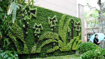 融合美學(xué)與生態(tài) 陽(yáng)臺(tái)花園設(shè)計(jì)中堂假山噴霧景觀的構(gòu)建與養(yǎng)護(hù)管理