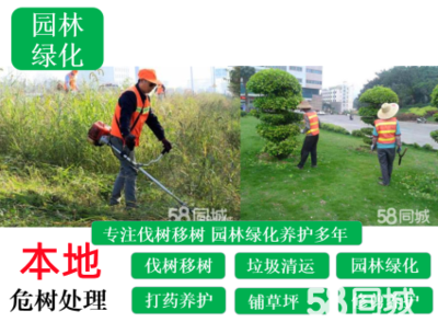 阜寧庭院與別墅花園綠化設(shè)計施工 打造生態(tài)與美觀并重的園林景觀